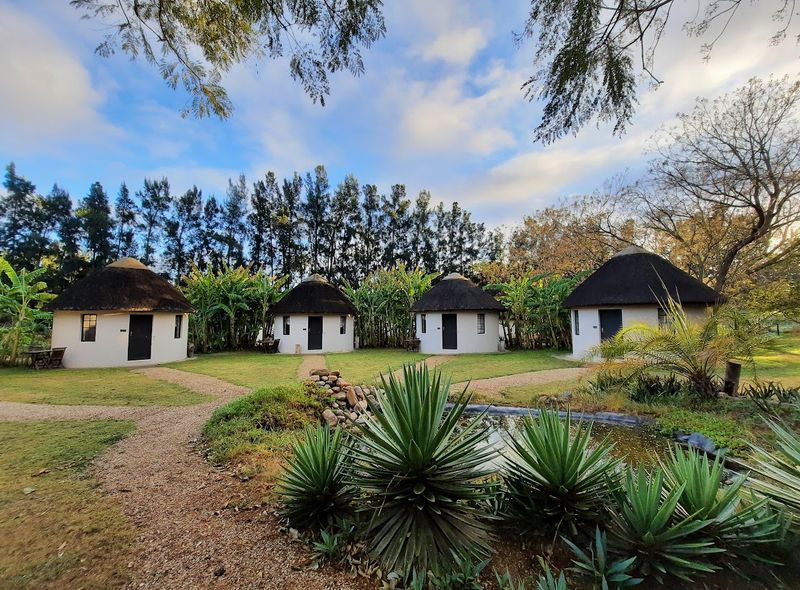 Addo African home